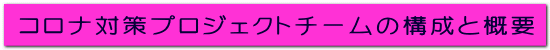 �R���i�΍�v���W�F�N�g�`�[���̍\���ƊT�v